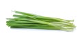 Garlic chives isolated on white background Royalty Free Stock Photo