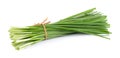 Garlic chives isolated on white background