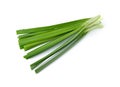 Garlic chives (leek)