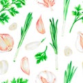 Garlic, cilantro and green onions.Watercolor illustration.Isolated on a white background.For design. Royalty Free Stock Photo