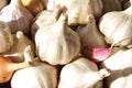 Garlic Close Up, Garlic Bulb, Garlic Cloves In Wooden Bowl. Top View