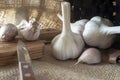 Garlic in close-up on sack cloth Royalty Free Stock Photo
