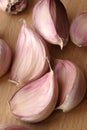Garlic clove Royalty Free Stock Photo