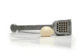 Garlic clove and crusher Royalty Free Stock Photo
