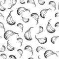 Garlic clove hand drawn vector seamless pattern. Isolated Vegetable Engraved style background.