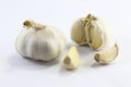 Garlic Royalty Free Stock Photo