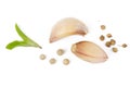 Garlic clove and spice isolated white background, top view Royalty Free Stock Photo