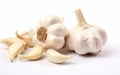 Garlic Clove on White Background Royalty Free Stock Photo