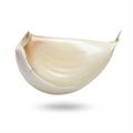garlic clove, white and glossy Royalty Free Stock Photo