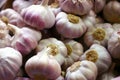 Garlic cloves Royalty Free Stock Photo