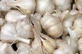 Garlic cloves Royalty Free Stock Photo