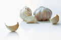 Garlic cloves and bulb isolated on white