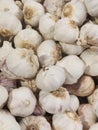 Garlic Cloves and Bulb in vintage wooden bowl.White garlic pile texture. Fresh garlic on market table closeup Royalty Free Stock Photo