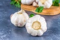 Garlic cloves and garlic bulb on a wooden board on a gray background. Royalty Free Stock Photo