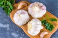 Garlic cloves and garlic bulb on a wooden board on a gray background. Royalty Free Stock Photo