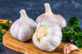 Garlic cloves and garlic bulb on a wooden board on a gray background. Royalty Free Stock Photo