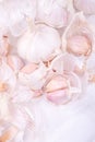 Garlic, garlic cloves, garlic husks close-up on a white background with gauze Royalty Free Stock Photo