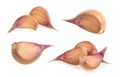 Garlic cloves isolated on white background Royalty Free Stock Photo