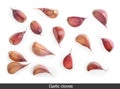 Garlic cloves isolated on white background Top view Royalty Free Stock Photo