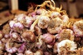 Garlic cloves at Provence market