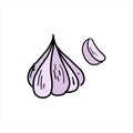 Garlic. Colored simple doodle. Vector clipart, isolated on white