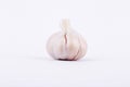 Garlic is cooking ingredient on white background . Royalty Free Stock Photo