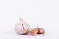 Garlic is cooking ingredient on white background isolated. Royalty Free Stock Photo