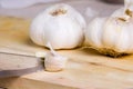 Garlic Royalty Free Stock Photo