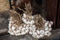 Garlic on display in the market,Vigan , Luzon, philippines