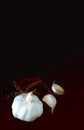 Garlic with Dried Chili Ingredients on Dark Background