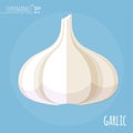 Garlic flat design vector icon.