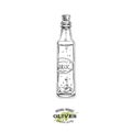 Garlic flavoured olive oil bottle, hand drawn vector illustration.