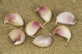 Garlic form Oganic farm