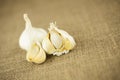 Garlic Royalty Free Stock Photo