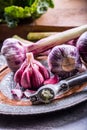 Garlic. Fresh garlic. Red garlic. Garlic press. Violet garlic.Garlic background. garlic bulbs Royalty Free Stock Photo