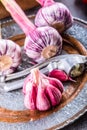 Garlic. Fresh garlic. Red garlic. Garlic press. Violet garlic.Garlic background. garlic bulbs Royalty Free Stock Photo