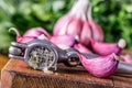 Garlic. Fresh garlic. Red garlic. Garlic press. Violet garlic.Garlic background. garlic bulbs Royalty Free Stock Photo