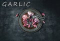 Garlic. Fresh garlic. Red garlic. Garlic press. Violet garlic.Garlic background. garlic bulbs Royalty Free Stock Photo