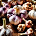 Garlic fresh raw organic vegetable