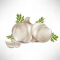 Garlic with garlic cloves