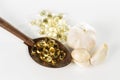 Garlic Gel Capsules Extract