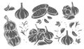 Garlic glyph monochrome icon