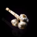 Garlic grappe on a black background Royalty Free Stock Photo