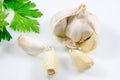 Garlic with green leaves of parsley isolated on white background Royalty Free Stock Photo