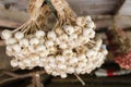 Garlic in a group Thai vegatable