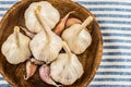 Garlic group of white heads fresh vegetable on wooden background