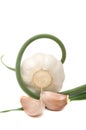 Garlic Head and Cloves with Stalk