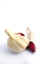 Garlic - head of Garlic with Clove