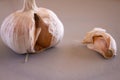 Garlic head on a gray plate. Aromatic food to flavor foods