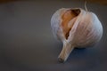 Garlic head on a gray plate. Aromatic food to flavor foods